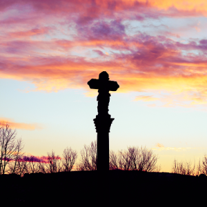 20211204185624_IMG_0091 (2)